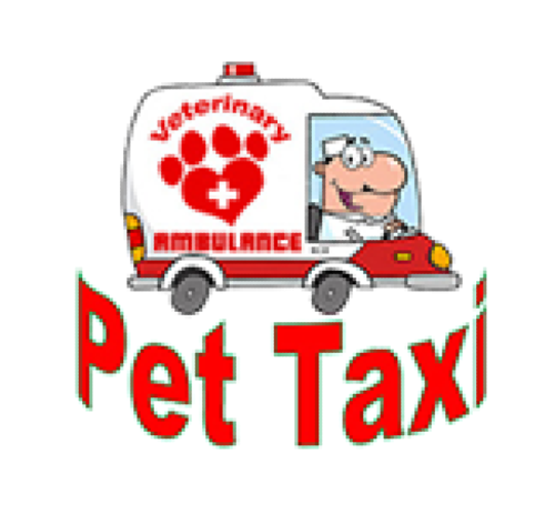 Pet Taxi